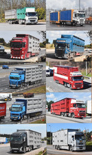 6 X 4 TRUCK PHOTOS  LIVESTOCK