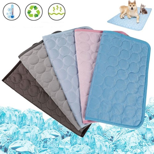 Car sofa puppy - blanket, summer