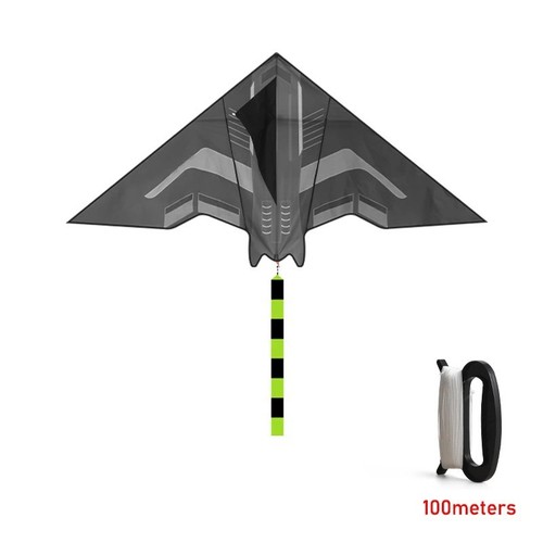 Large delta kite for - kite,