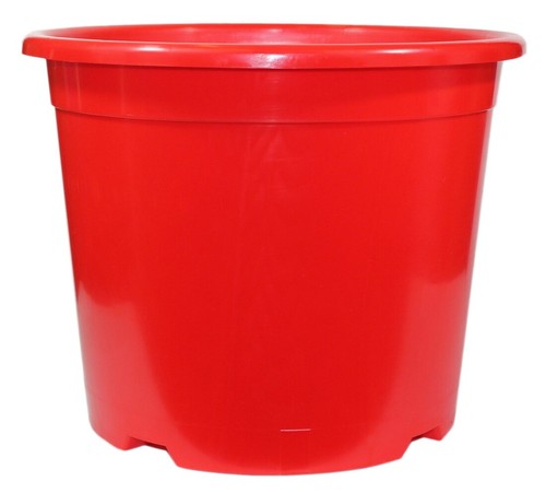 Red plant pot flower - plant,