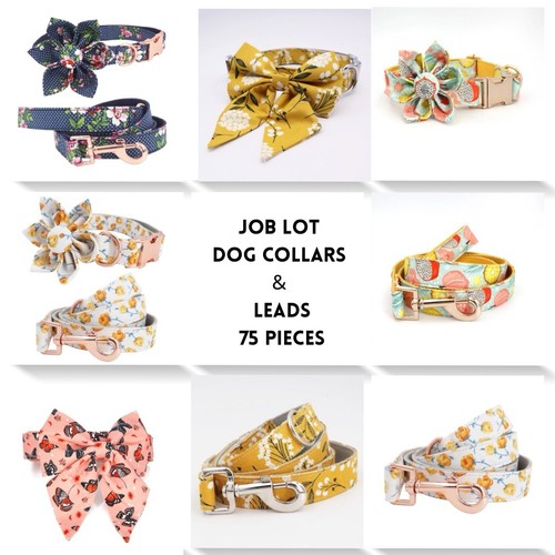 Job lot wholesale dog - lot,