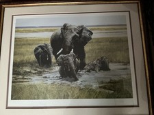 Spencer Hodge Signed Limited Edition Print Framed Family Of Elephants Bathing