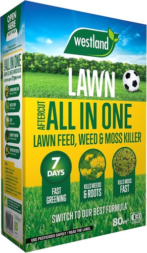 Transform your lawn - lawn, in