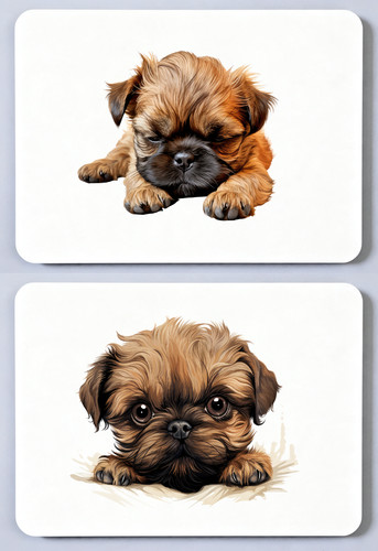 Brussels griffon picture - griffon,