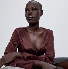 NWT Zara  Brown Long Sleeves