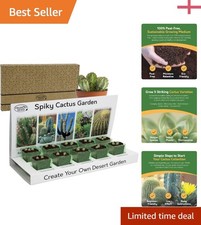 Indoor Cactus Garden Set - 5
