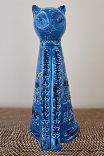 Rimini blue cat 123 - blue,