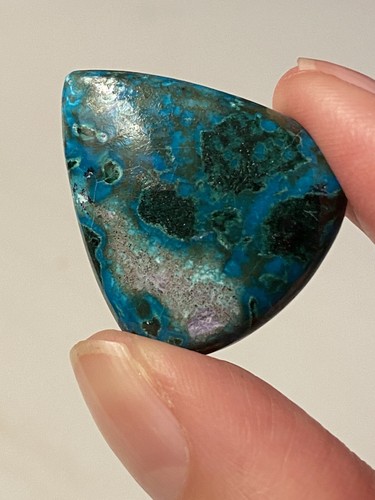 Malacholla cabochon 1507 - cabochon,