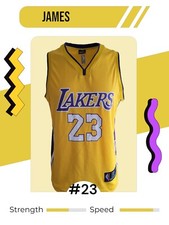 James No. 23 Lakers jersey