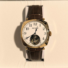 AESOP Flying Tourbillon Mechanical Sapphire Waterproof Steel Skeleton Wristwatch