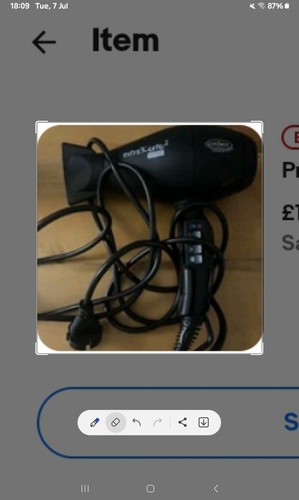 Professional hair dryer