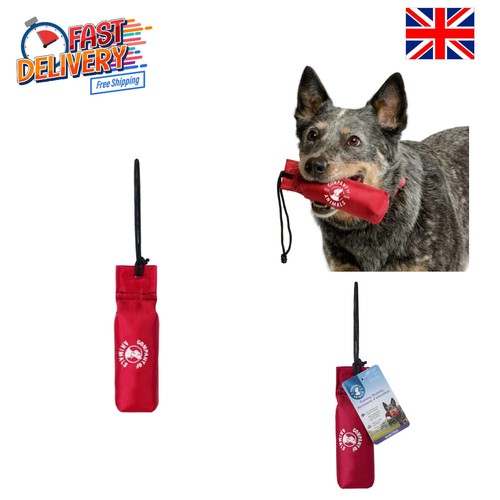 Small canvas dog training - small,