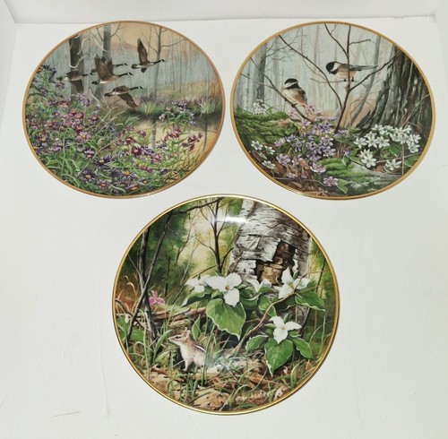 Kaiser wild flowers - flowers, gerda