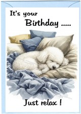 Poodle White Dog Birthday Card