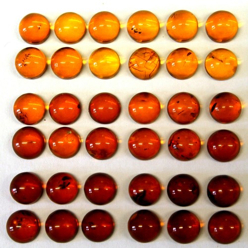 8mm round baltic - baltic, amber