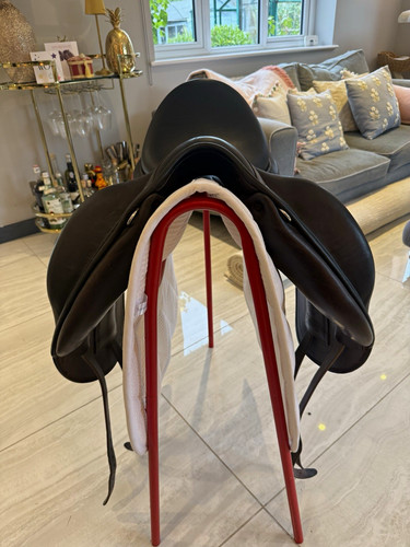 Childeric dpl horse dressage - dpl,