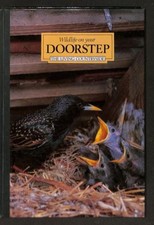 Wildlife on Your Doorstep: The