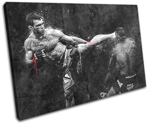 Ufc grunge mma - grunge, griffin