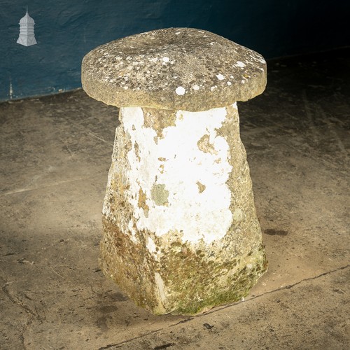 16th sandstone staddle stone - sandstone,