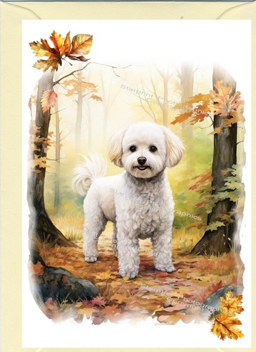 Bichon frise dog greetings - bichon,