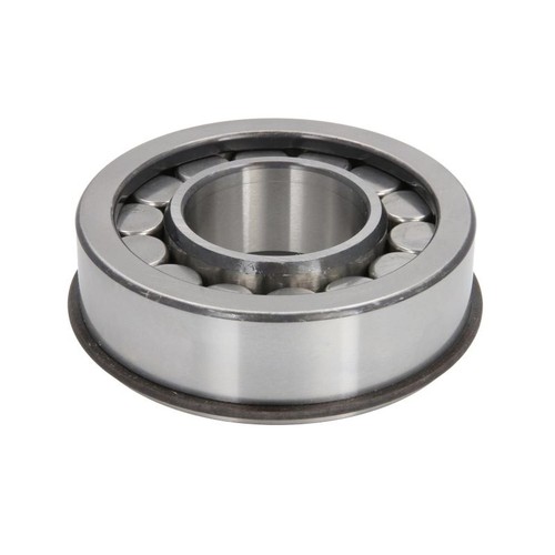 Input shaft bearing - input,