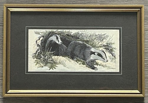 Cash badger woven silk - j,