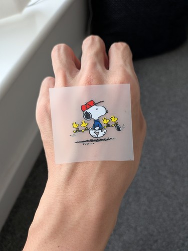 Snoopy woodstock peanuts heat - woodstock,