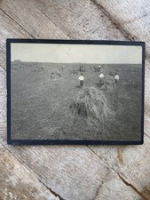 Antique Agricultural Photo – Midwest Hay Field – Horse Wagon & Workers