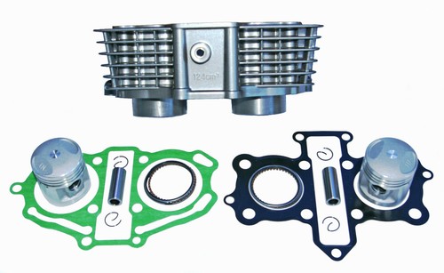 Barrel cylinder kit - barrel, pistons