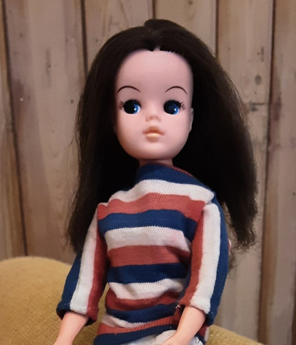 Vintage sindy doll - vintage, brunette