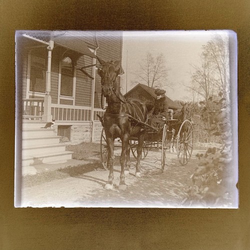 Antique glass plate negative - plate,