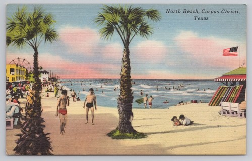 Postcard north beach palm - postcard,