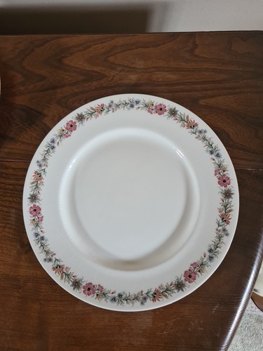 Paragon belinda dinner plate - paragon,