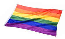 Pride Flag LGBTQ+ Rainbow  5x3