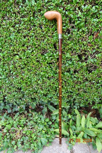 Walking stick with - , blackthorn