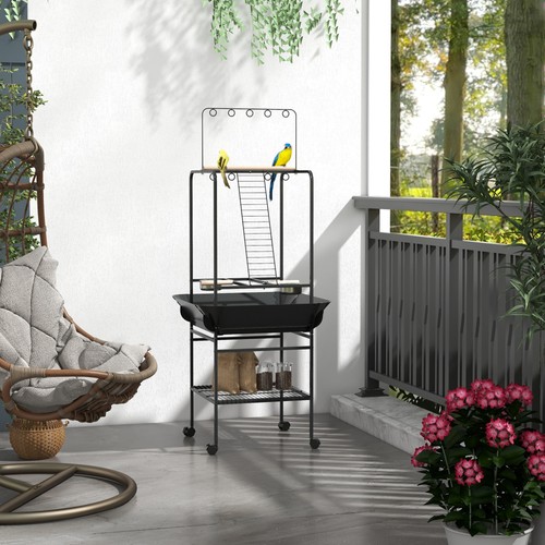 Bird stand with - stand,
