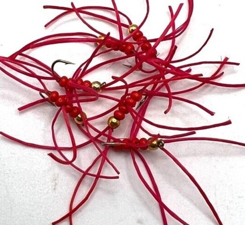 Fly fishing trout flies - fly,