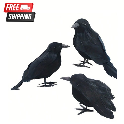 Realistic black crow halloween - black,