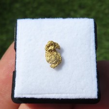 Rare Natural Crystallized Gold