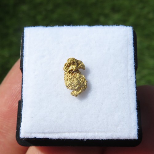 Rare natural crystallized gold - natural,