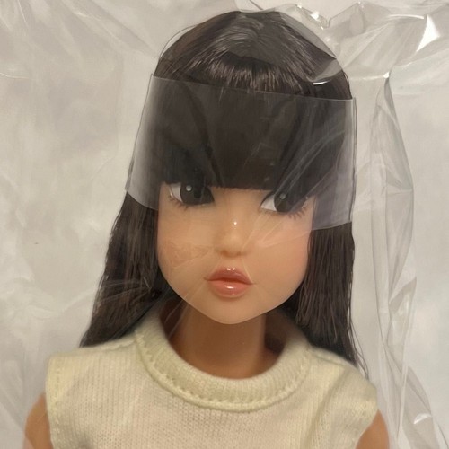 Petworks momoko doll happy box - petworks,