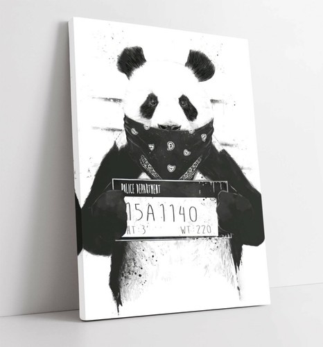 Banksy panda mugshot - panda, canvas