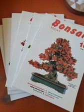 Bonsai Today Magazine - Lot of
