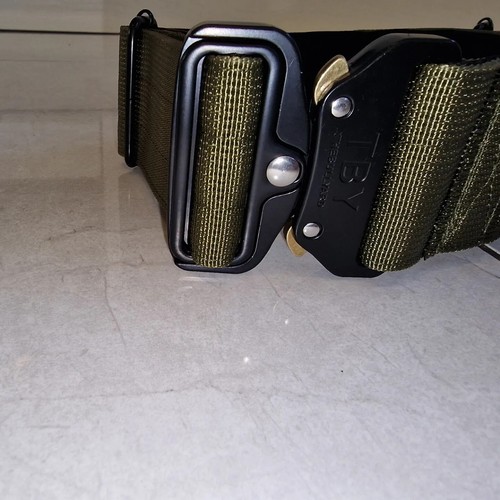 Dog collar - dog,