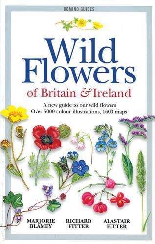 Wild flowers britain - flowers, and