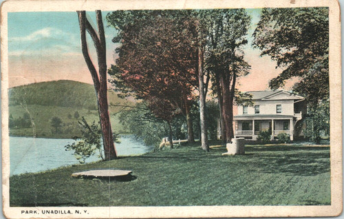 Unadilla new york park - york,