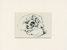 SEALYHAM TERRIER MUM & PUP OLD ORIGINAL MOUNTED DOG ART PRINT BY LUCY DAWSON MAC