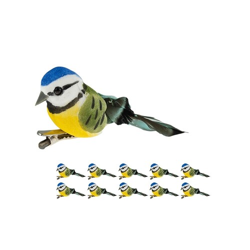 Bright blue tit garden - garden, bird