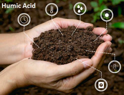Granular humic fulvic acid - humic,