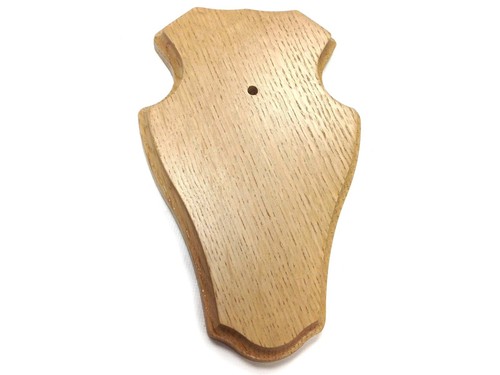 Trophy shield roe - trophy, muntjac